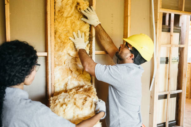 Best Insulation Contractor Near Me  in Jacksonville, TX