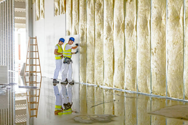 Insulation Inspection Services in Jacksonville, TX